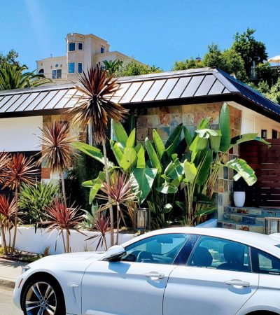 metal roof on white home with exotic plants